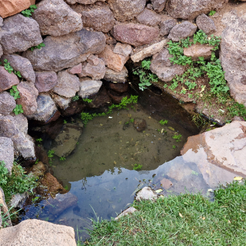 Une autre petite source sur le chemin, très faible débit. Six jours de trek dans le Djébel Saghro