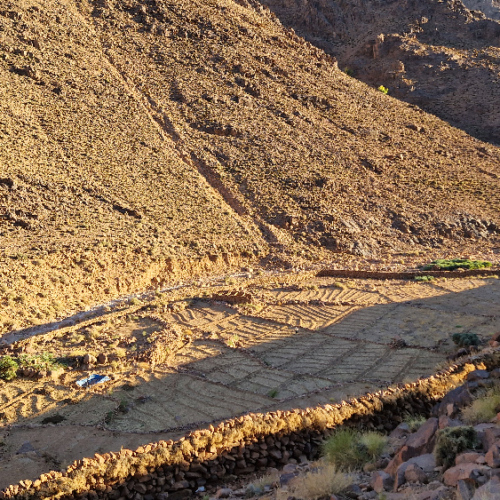 En fond de vallée, cultures. Six jours de trek dans le Djébel Saghro