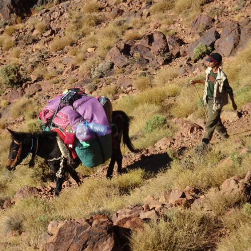 Hamou et sa mule. Six jours de trek dans le Djébel Saghro