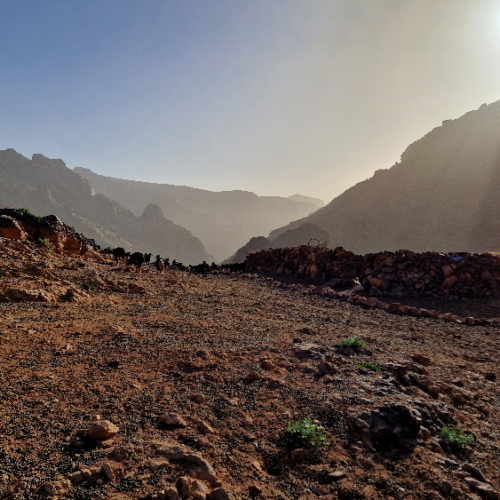 Le jour s'est levé, les chèvres sont éparpillées ... Six jours de trek dans le Djébel Saghro