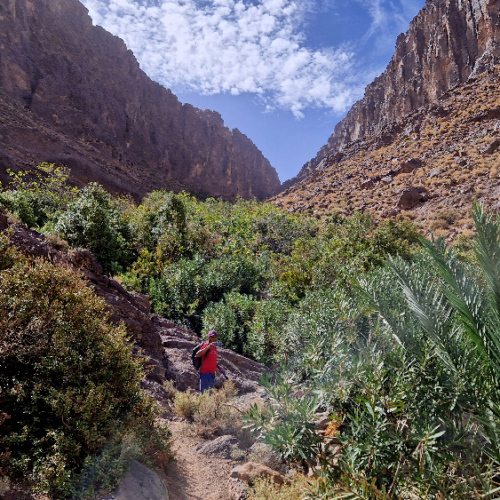 Nous prenons une autre vallée pour aboutir sur un grand plateau. Six jours de trek dans le Djébel Saghro