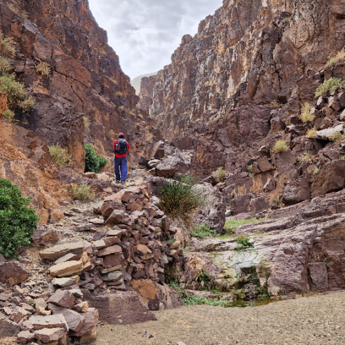 Les difficultés pour la mule commencent. Six jours de trek dans le Djébel Saghro