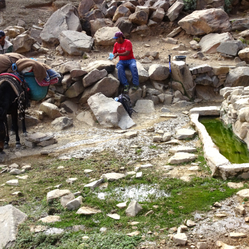 Sur le chemin, une petite source. Six jours de trek dans le Djébel Saghro