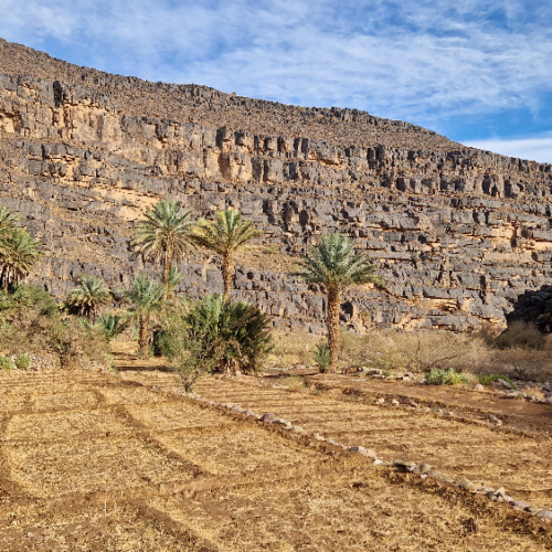 Cultures dans la plaine. Six jours de trek dans le Djébel Saghro