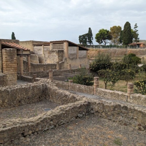 Reconstitution d'un petit verger d'agrumes. Herculanum