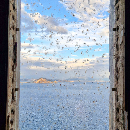 Exposition d'art contemporain au Palazzo d'Avalos. Procida