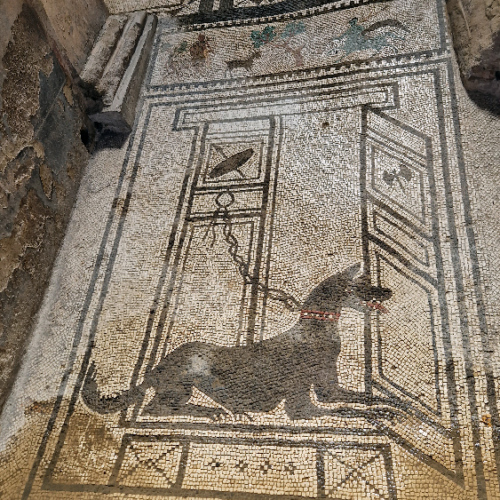 Une villa, la Casa Paquius Proculus. Pompéi