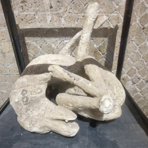 Moulage d'un cadavre de chien. Pompéi