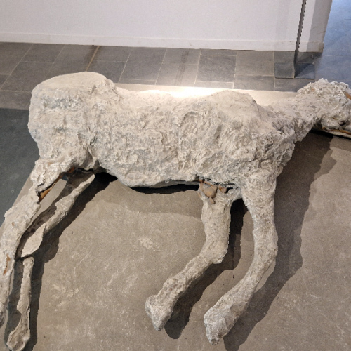 Moulage d'un cadavre de cheval. Pompéi