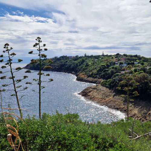 Petit isthme. Procida