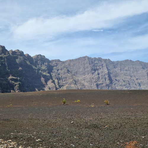 Dans la caldeira du Pico do Fogo. Cap Vert, le Pico do Fogo, Parc Naturel.
