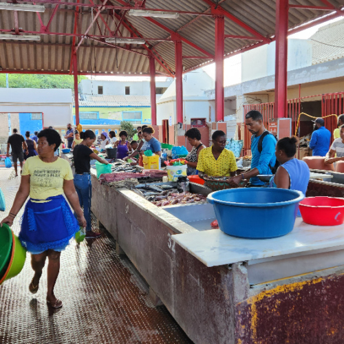 Mindelo, le marché aux poissons. Cap Vert, Soa Vicente, Mindelo