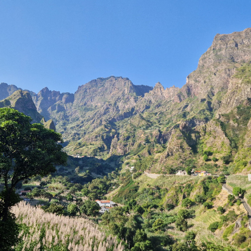 Le relief tourmenté, les champs de cannes à sucre. Cap Vert, Santo Antao, Vallee de Paul.