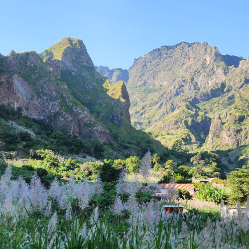 Le relief tourmenté, les champs de cannes à sucre. Cap Vert, Santo Antao, Vallee de Paul.