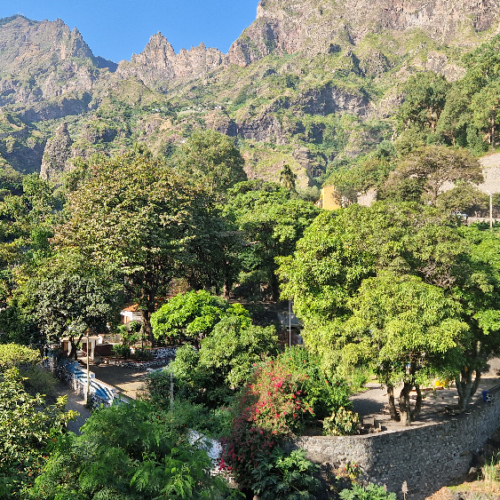 Des arbres à pain, des manguiers dans une belle propriété Cap Vert, Santo Antao, Vallee de Paul.
