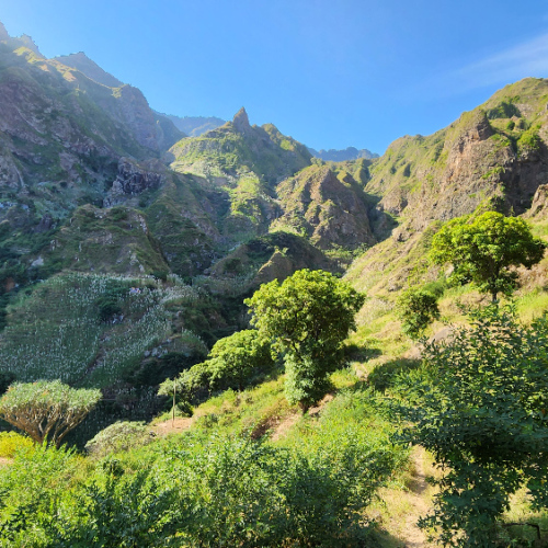 Des versants très humides, d'autres plus secs. Cap Vert, Santo Antao, Vallee de Paul.