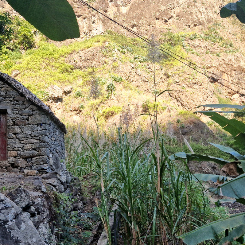 Cap Vert, Santo Antao, Vallee de Paul. Cap Vert, Santo Antao, Vallee de Paul.