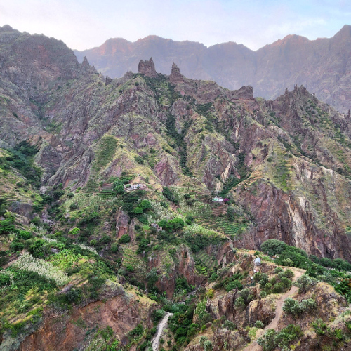 Les cultures en terrasse. Les nombreux dykes sur les crêtes. Cap Vert Santo Antao