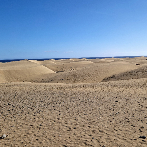 Les dunes de Maspalomas. Grande Canarie, Dunes de Mastopalomas.