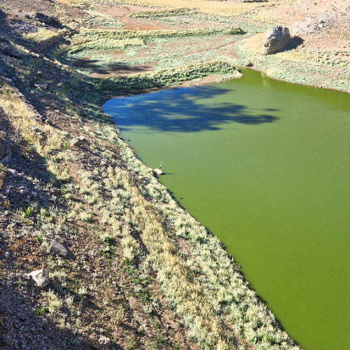 Une réserve d'eau bien basse. Grande Canarie, Roque Nublo.