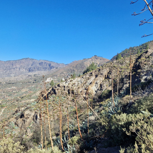 Grande Canarie, Roque Nublo. Grande Canarie, Roque Nublo.