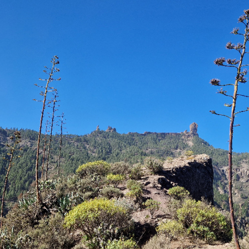 Grande Canarie, Roque Nublo. Grande Canarie, Roque Nublo.
