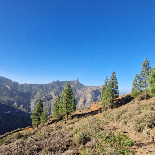 Le Roque Nublo. Grande Canarie, Roque Nublo.