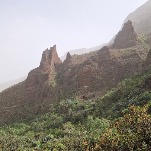 Trek dans la vallée Guayadeque. Grande Canarie, Vallée Guayadeque.