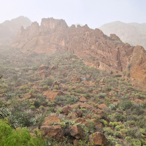 Trek dans la vallée Guayadeque. Grande Canarie, Vallée Guayadeque.