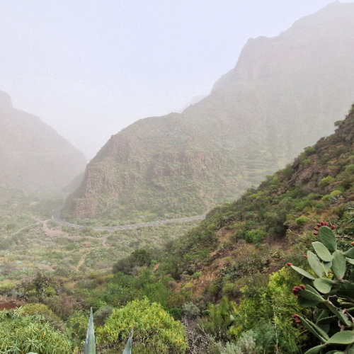 Trek dans la vallée Guayadeque. Grande Canarie, Vallée Guayadeque.