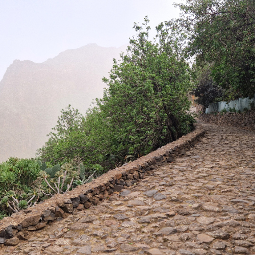Trek dans la vallée Guayadeque. Grande Canarie, Vallée Guayadeque.