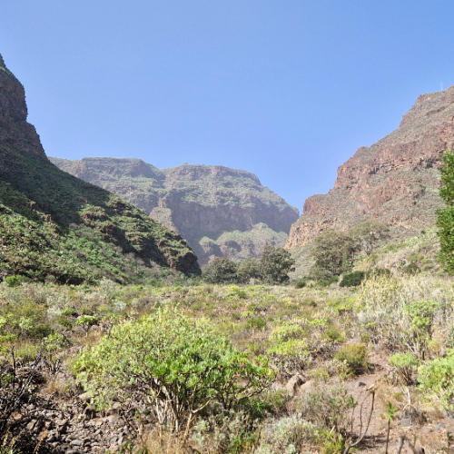Trek dans la vallée Guayadeque. Grande Canarie, Vallée Guayadeque.