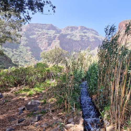 Trek dans la vallée Guayadeque. Grande Canarie, Vallée Guayadeque.