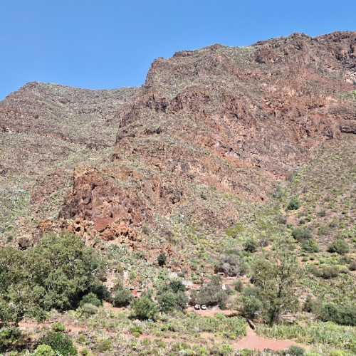 Trek dans la vallée Guayadeque. Grande Canarie, Vallée Guayadeque.