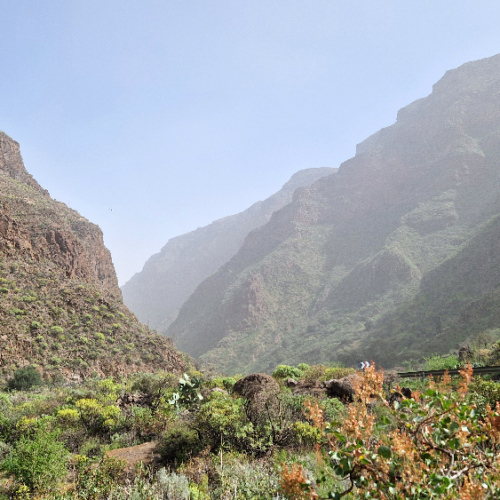 Trek dans la vallée Guayadeque. Grande Canarie, Vallée Guayadeque.
