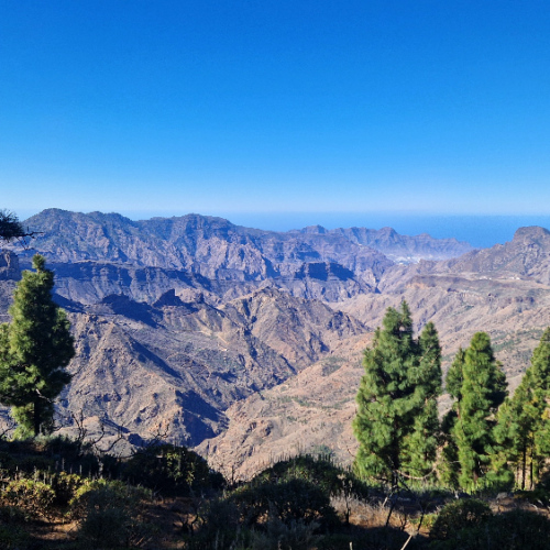 Grande Canarie, Vallée Tejeda. Grande Canarie, Vallée Tejeda.