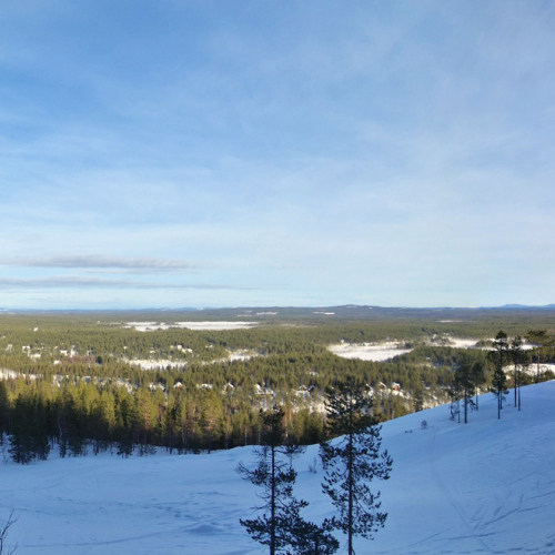 Parc National Pyhä-Lusto. Finlande, Laponie.