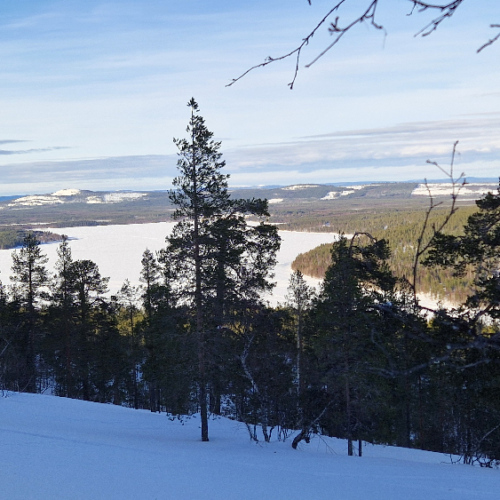 Parc National Pyhä-Lusto. Finlande, Laponie.