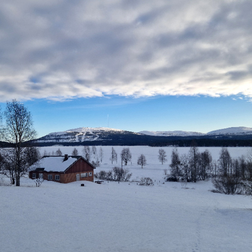 Parc National Pyhä-Lusto. Finlande, Laponie.