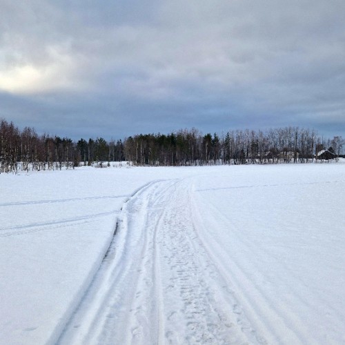 La Laponie, Finlande, Kinisjärvi. Finlande, Kinisjärvi.