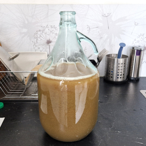 Rajout le la levure dans la dame-jeanne. Fabrication Bière.