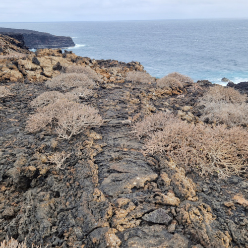 Balade en bord de mer à El Golfo. Une coulée de lave. Lanzarote, El Golfo.