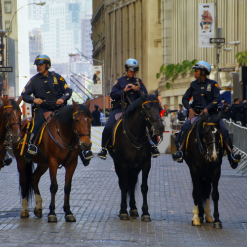 Garde montée à Wall Street. Garde montée à Wall Street.
