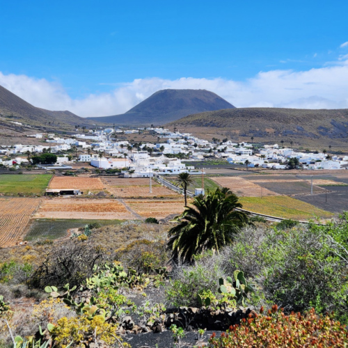 Le village d'Haria. Lanzarote, Village Haria.