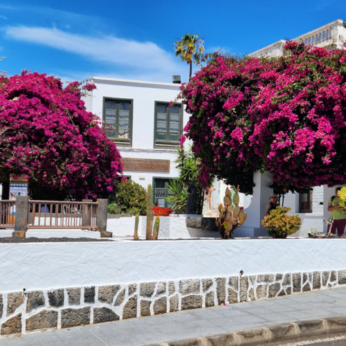 Balade dans Haria. LanzarLanzarote, Les falaises de Famara.ote, Village Haria.