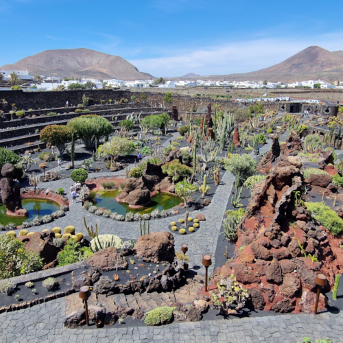 Jardin des cactus de César Manrique, Lanzarote. Jardin des cactus, Lanzarote.