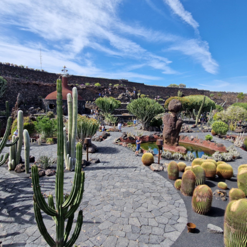 Jardin des cactus de César Manrique, Lanzarote. Jardin des cactus, Lanzarote.