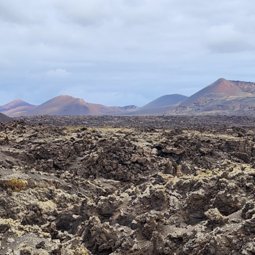 Lanzarote, Volcan el Cuervo. Lanzarote, Volcan el Cuervo.