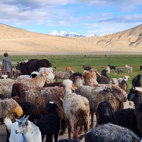 Bulunkul au petit matin. Tadjikistan, Bulunkul.