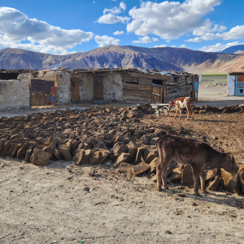 Village de Bulunkul. Tadjikistan, Bulunkul.